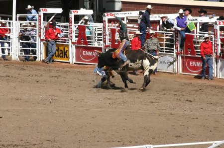 Photo for CALGARY CANADA JULY 2004 -  Cowboy trying to ride a wild bull, Calgary Stampede, Alberta, Canada - Royalty Free Image