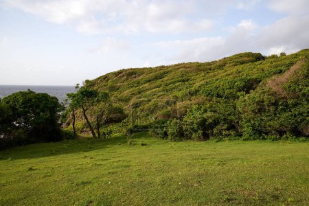 Téléchargez les photos : Un beau plan d'une vallée rocheuse verdoyante avec des arbres et de l'herbe - en image libre de droit