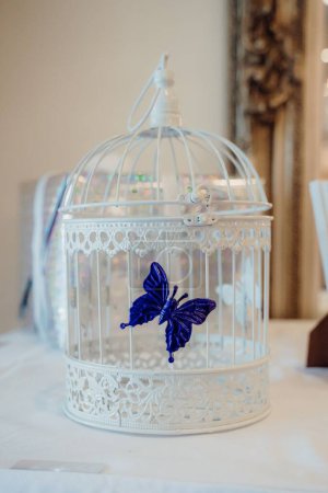 Téléchargez les photos : Un plan vertical d'une décoration de cage blanche avec un papillon violet - en image libre de droit