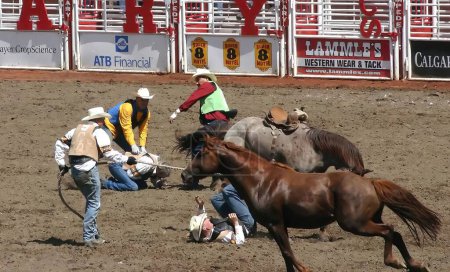 Foto de Los vaqueros tratando de reunir a los caballos salvajes en el rodeo Calgary Stampede, Alberta, Canadá - Imagen libre de derechos
