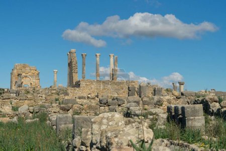 Téléchargez les photos : Les ruines de Volubilis, une ville berbéro-romaine fouillée au Maroc située près de la ville de Meknès - en image libre de droit