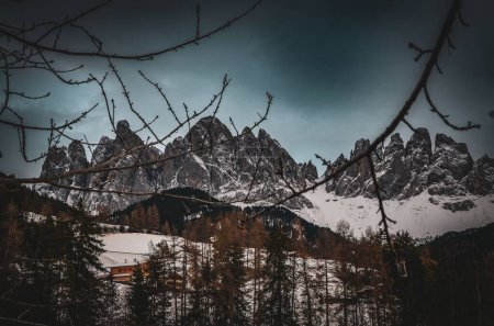 Téléchargez les photos : La neige couvrait les montagnes au loin derrière les arbres et les branches en hiver - en image libre de droit