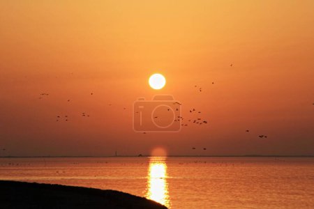 Téléchargez les photos : Une silhouette d'oies qui migrent au coucher du soleil - en image libre de droit