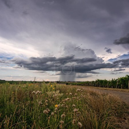 Téléchargez les photos : Un champ et une route avec un ouragan en arrière-plan - en image libre de droit