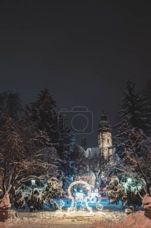 Photo for A vertical shot of the Christmas decorations in the park at night - Royalty Free Image
