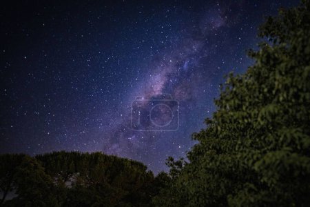 Photo for A beautiful scene of trees under vista night sky with stars in the garden - Royalty Free Image