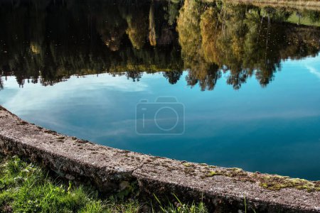 Photo for A beautiful shot of a lake reflecting green forest trees - Royalty Free Image