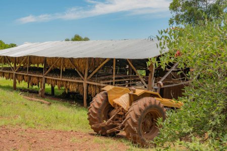 Foto de Un tractor estacionado al lado de una casa de secado de tabaco en una granja - Imagen libre de derechos
