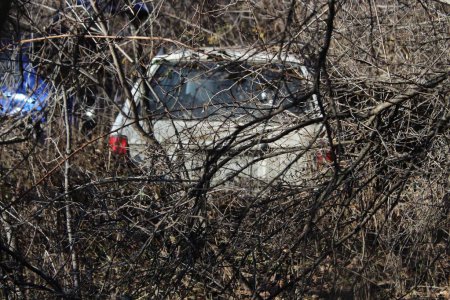 Téléchargez les photos : Une voiture blanche derrière des branches dans une forêt - en image libre de droit