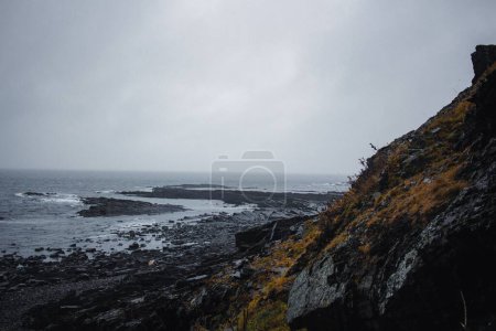 Téléchargez les photos : Une côte rocheuse verdoyante de canyon de falaise par la mer sous ciel nuageux à l'horizon - en image libre de droit