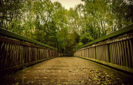 Photo for A beautiful view of an old wooden bridge in the forest - Royalty Free Image
