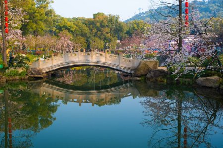 Photo for East Lake Cherry Blossom Park, also called Wuhan Moshan Cherry Blossom Park, is a park in the East Lake area of Wuchang District, Wuhan City, Hubei - Royalty Free Image