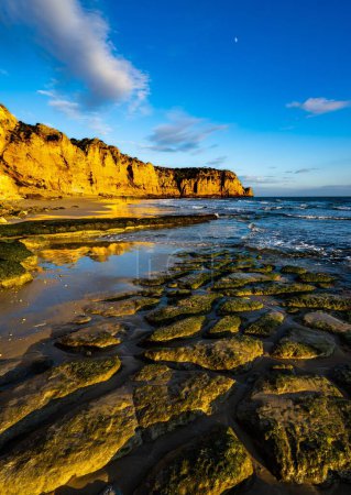Foto de Una hermosa vista vertical de la costa rocosa - Imagen libre de derechos
