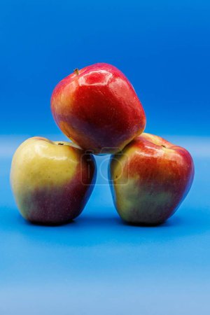 Foto de Una toma vertical de tres manzanas dulces maduras aisladas sobre un fondo azul vacío - Imagen libre de derechos
