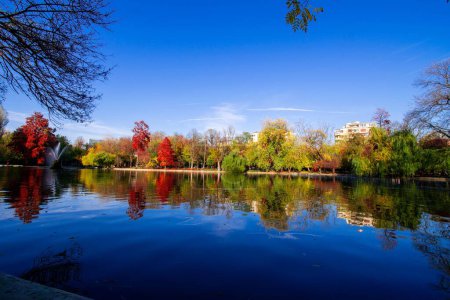 Foto de Un hermoso paisaje de un lago con árboles de otoño en la distancia en un día soleado - Imagen libre de derechos