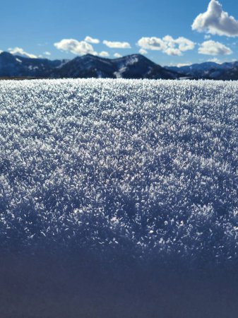 Photo for Ice crystals formed on top of a snow covered hill - Royalty Free Image