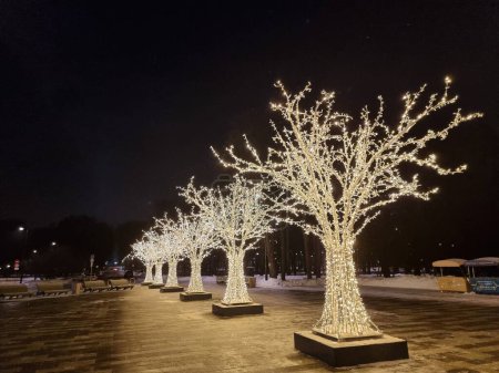 Téléchargez les photos : Une rangée d'arbres décorés de petites lampes comme décorations de Noël et du Nouvel An - en image libre de droit