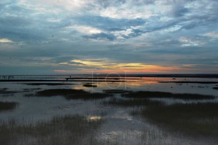 Téléchargez les photos : La vue de la zone humide sur le fond du ciel nuageux au coucher du soleil. - en image libre de droit