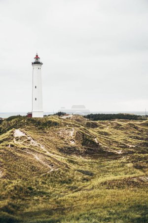 Photo for A low-angle view of a beautiful lighthouse in the forest - Royalty Free Image