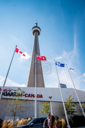 Téléchargez les photos : Plan vertical des drapeaux du Canada près de la tour à Toronto - en image libre de droit