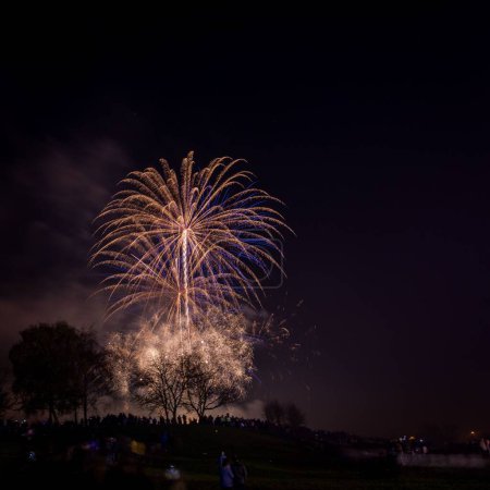 Foto de Un hermoso disparo de fuegos artificiales de colores explosivos en un cielo nocturno sobre Heaton Park - Imagen libre de derechos