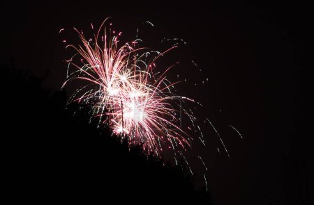 Foto de Los fuegos artificiales de colores en el fondo del cielo nocturno - Imagen libre de derechos