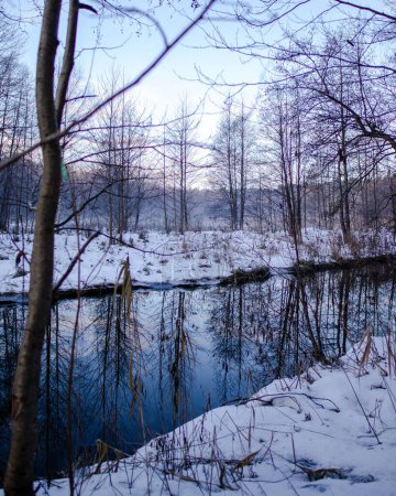 Téléchargez les photos : Vue verticale panoramique d'une rivière gelée au milieu d'une forêt froide d'hiver avec des arbres sans feuilles - en image libre de droit