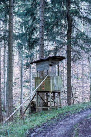 Téléchargez les photos : Vue verticale d'une vieille structure en bois dans une forêt à Baden-Wurtemberg, Allemagne - en image libre de droit