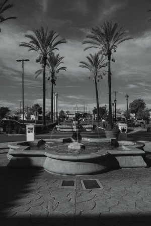 Photo for A water fountain centered in between palm trees at Los Jardines Shopping Center in Bell Gardens - Royalty Free Image