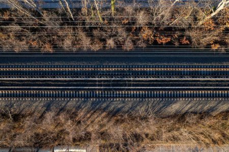 Téléchargez les photos : Une vue de dessus des voies ferrées avec des arbres bruns secs autour par une journée ensoleillée - en image libre de droit