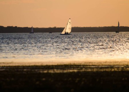 Téléchargez les photos : Voiliers naviguant sur un lac au coucher du soleil en été - en image libre de droit