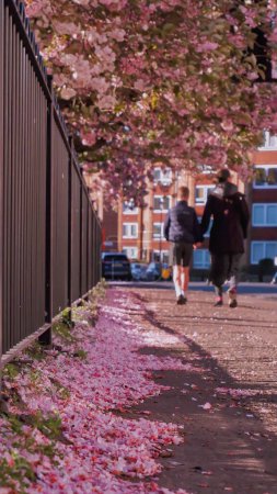 Photo for A vertical shot of the fallen cherry blossoms on the sidewalk with metal fences and the back view of a female and a boy walking away - Royalty Free Image