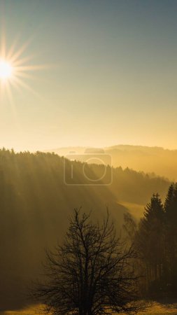 Téléchargez les photos : Un lever de soleil doré sur les arbres et la montagne - en image libre de droit