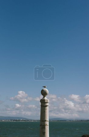 Foto de Un disparo vertical del pájaro posado en la parte superior del faro en la orilla - Imagen libre de derechos