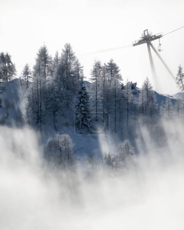 Téléchargez les photos : Une vue aérienne d'une station de ski avec des arbres sur une colline couverte de neige par une journée brumeuse - en image libre de droit