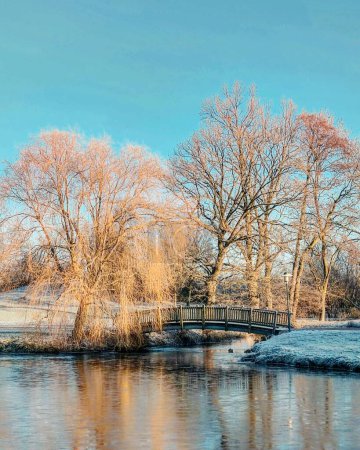 Téléchargez les photos : Plan vertical d'un petit pont au-dessus de la rivière avec des arbres sans feuilles sur le rivage. - en image libre de droit