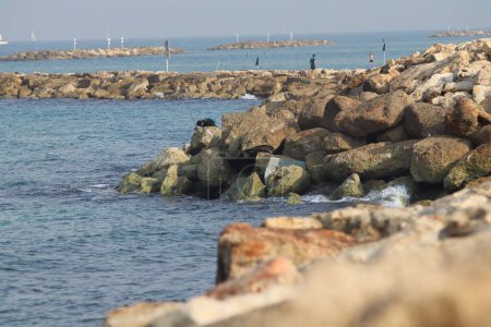Téléchargez les photos : Une vue de pierres massives sur la plage - en image libre de droit