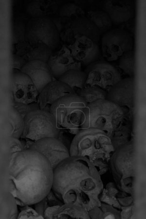 Téléchargez les photos : La verticale d'une pile de crânes humains en niveaux de gris - en image libre de droit