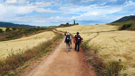 Téléchargez les photos : Les randonneurs marchant sur le sentier dans une vallée - en image libre de droit
