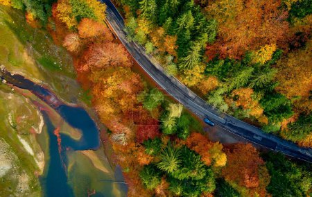 Téléchargez les photos : Une vue aérienne sur la route transfagarasane entre les arbres d'automne près d'une rivière en Roumanie - en image libre de droit