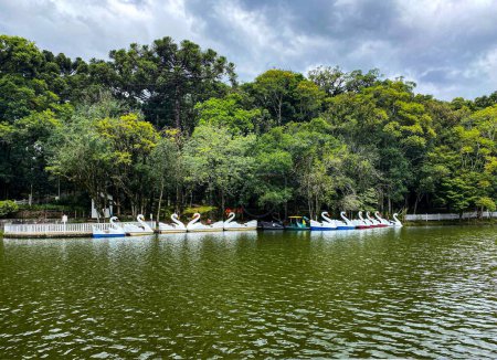 Foto de Un lago con barcos de alquiler de cisnes en un parque - Imagen libre de derechos