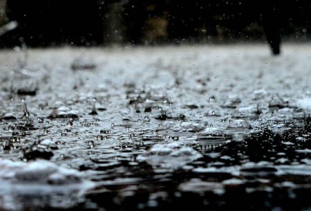 Foto de Una fuerte lluvia cae sobre el agua - Imagen libre de derechos