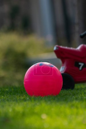 Foto de Un tiro vertical de una bola roja en la hierba verde profunda con juguetes - Imagen libre de derechos