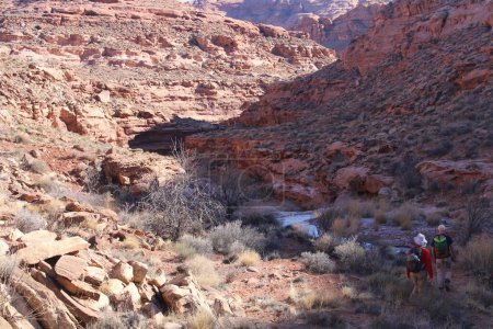 Téléchargez les photos : Une paire de touristes explorant un canyon sec avec des falaises rocheuses les ombrageant de la lumière du soleil - en image libre de droit