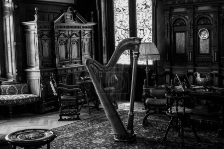 Photo for A grayscale shot of a harp in the middle of a room with a vintage design and stained glass - Royalty Free Image