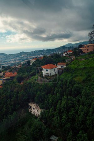 Téléchargez les photos : Un plan vertical des beaux bâtiments dans la baie verte de l'île Medeira - en image libre de droit