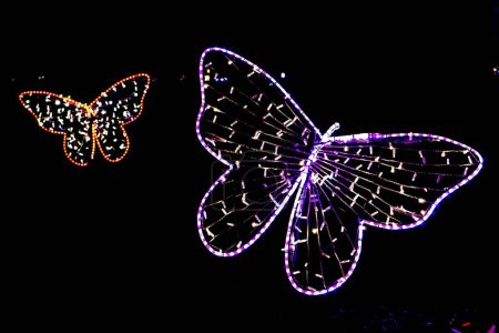 Téléchargez les photos : Un gros plan de papillons de lumières la nuit - en image libre de droit
