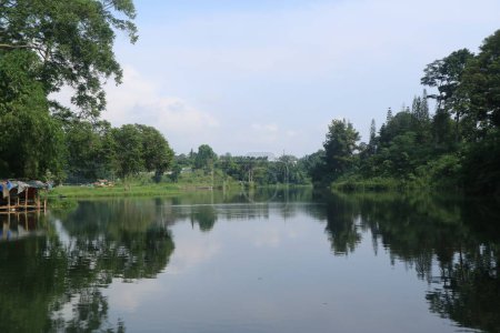 Téléchargez les photos : Un lac clair et calme avec le reflet des arbres dans l'eau - en image libre de droit