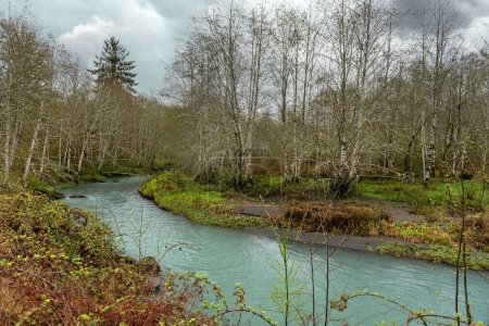 Téléchargez les photos : Une rivière dans le Parc National Olympique à Washington, USA - en image libre de droit