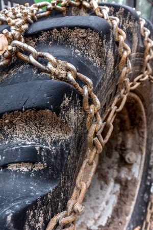 Photo for A vertical closeup shot of a dirty tire with rusty chains on a forest truck - Royalty Free Image